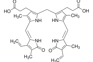 Bilirubin