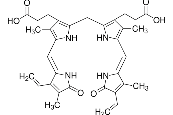 Bilirubin