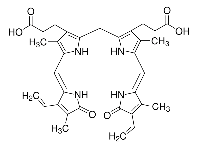 Bilirubin