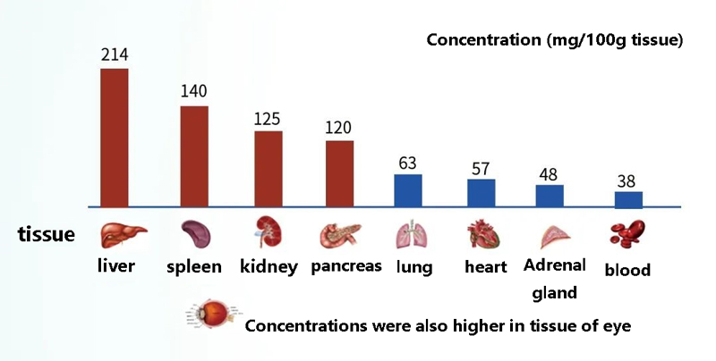 Glutathione content in the human body