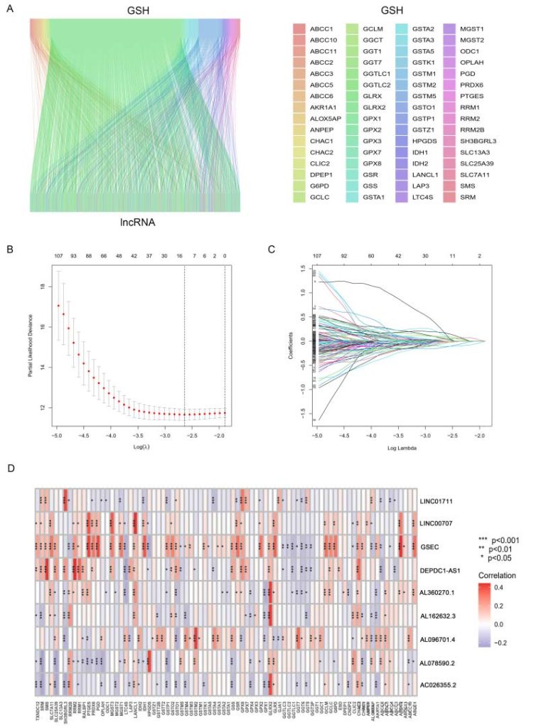 Figure 2. Identification and prognostic model construction of glutathione metabolism-related lncRNAs