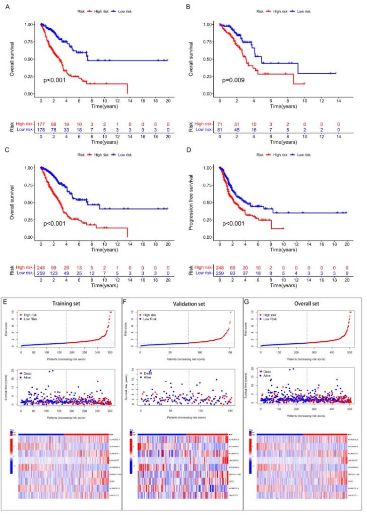 Figure 3 Survival analysis and validation