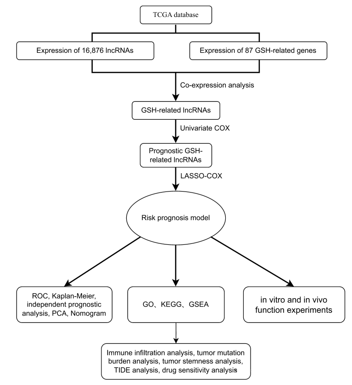 Figure 1 Research process