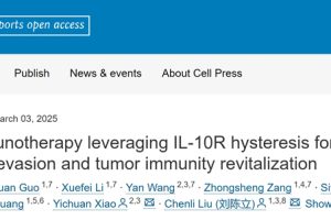 Bacterial immunotherapy leveraging IL-10R hysteresis for both phagocytosis evasion and tumor immunity revitalization