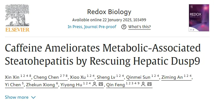 Caffeine Ameliorates Metabolic-Associated Steatohepatitis by Rescuing Hepatic Dusp9