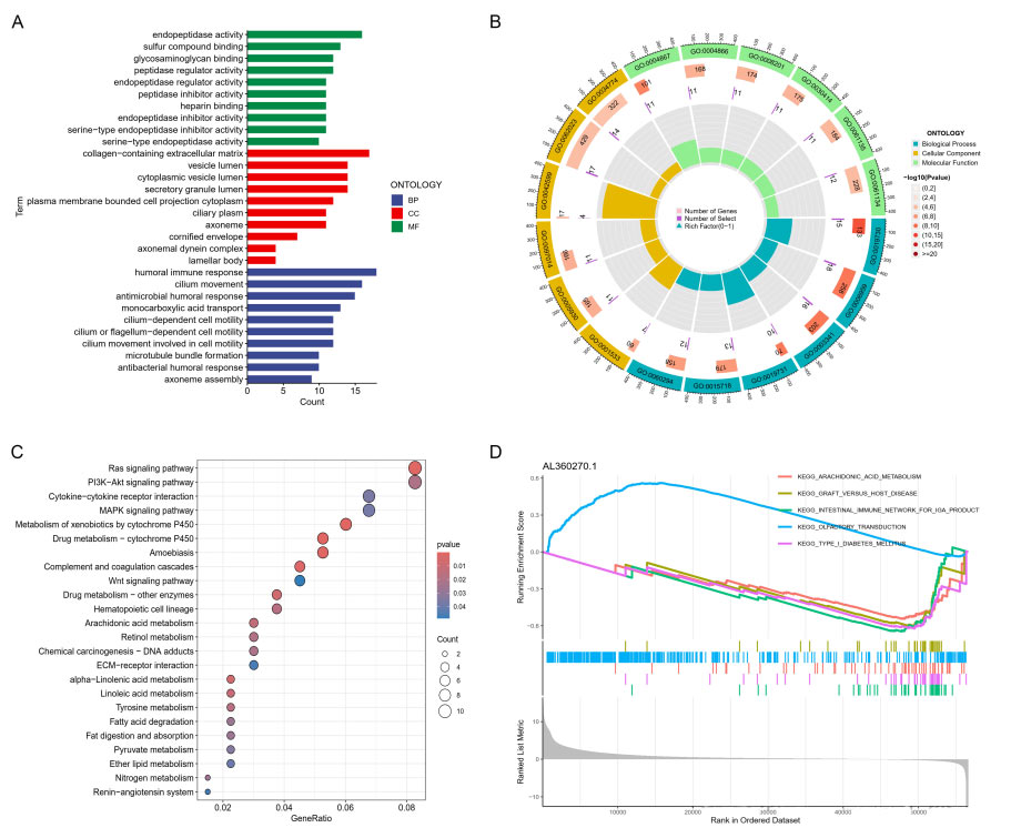 Figure 6 Gene function enrichment analysis