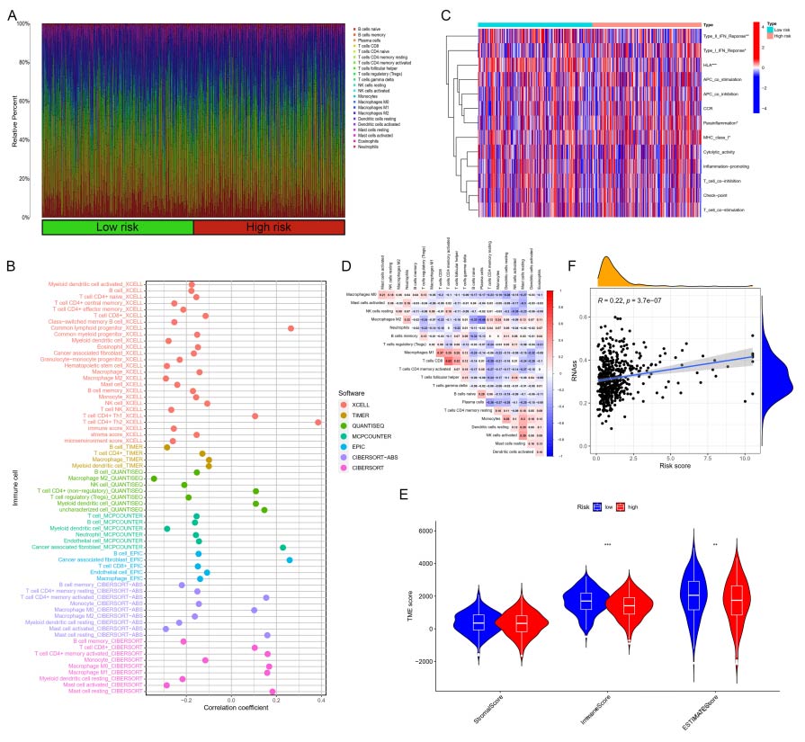 Figure 7 Immune correlation analysis