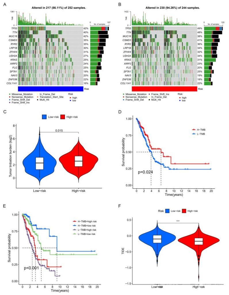 Figure 8. Tumor mutation burden (TMB) detection