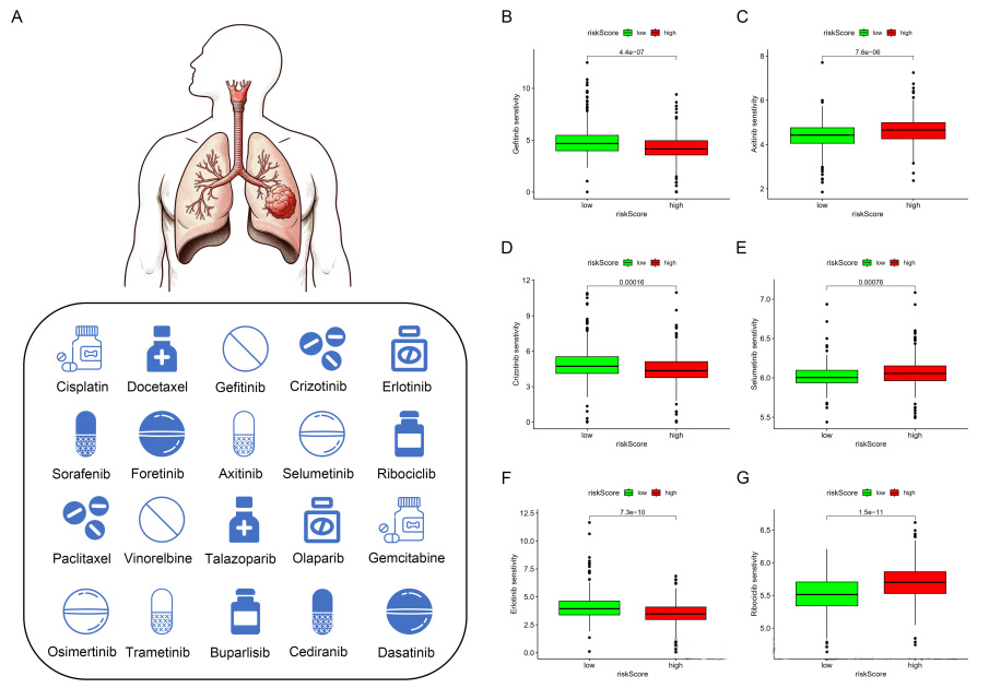 Figure 9 Drug sensitivity analysis