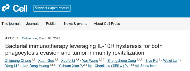 Bacterial immunotherapy leveraging IL-10R hysteresis for both phagocytosis evasion and tumor immunity revitalization