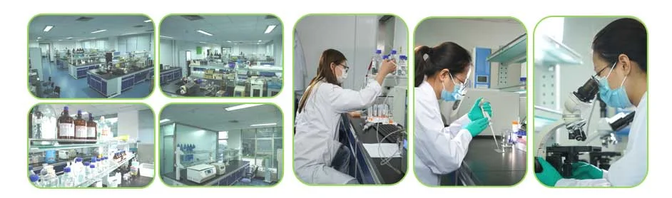 R & D Center GSH BIO-TECH. R & D Center GSH BIO-TECH.